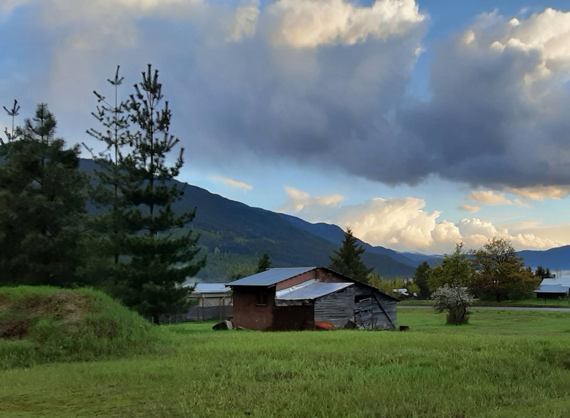 Activités de printemps