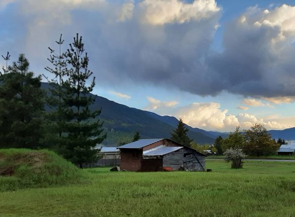 Activités de printemps