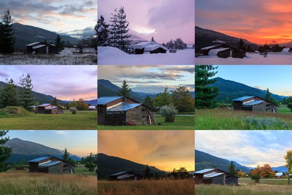 365 jours plus tard : B(c) l'an